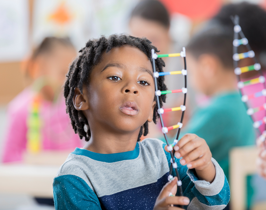 A young boy studying a model of DNA