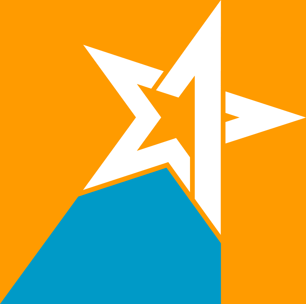 The epilepsy star awards logo