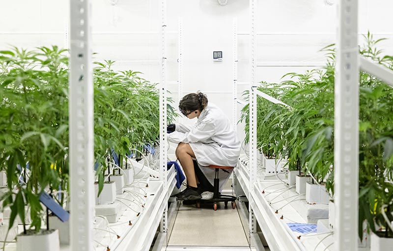 CBD researchers find “significant improvements” for epilepsy patients