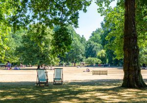 Two deck chairs under a shady tree on a hot day