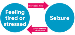 Infographic showing the cycle of seizures causing stress, and stress increasing the risk of a seizures