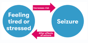 A diagram explaining the cyclical impact of seizures and tiredness/stress.