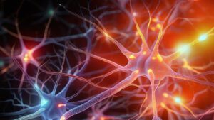 Nerve cells