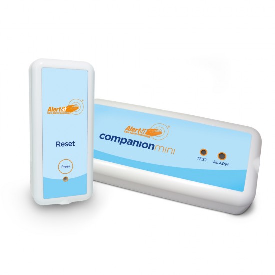 companion mini pro for epilepsy and seizures
