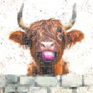 All images need alt text describing what they show