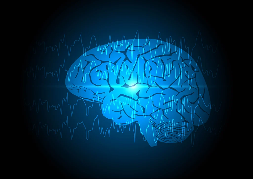 Study compares focal seizure add-on medications