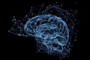 Illustration of a brain. Link between epilepsy and increased risk of young-onset dementia