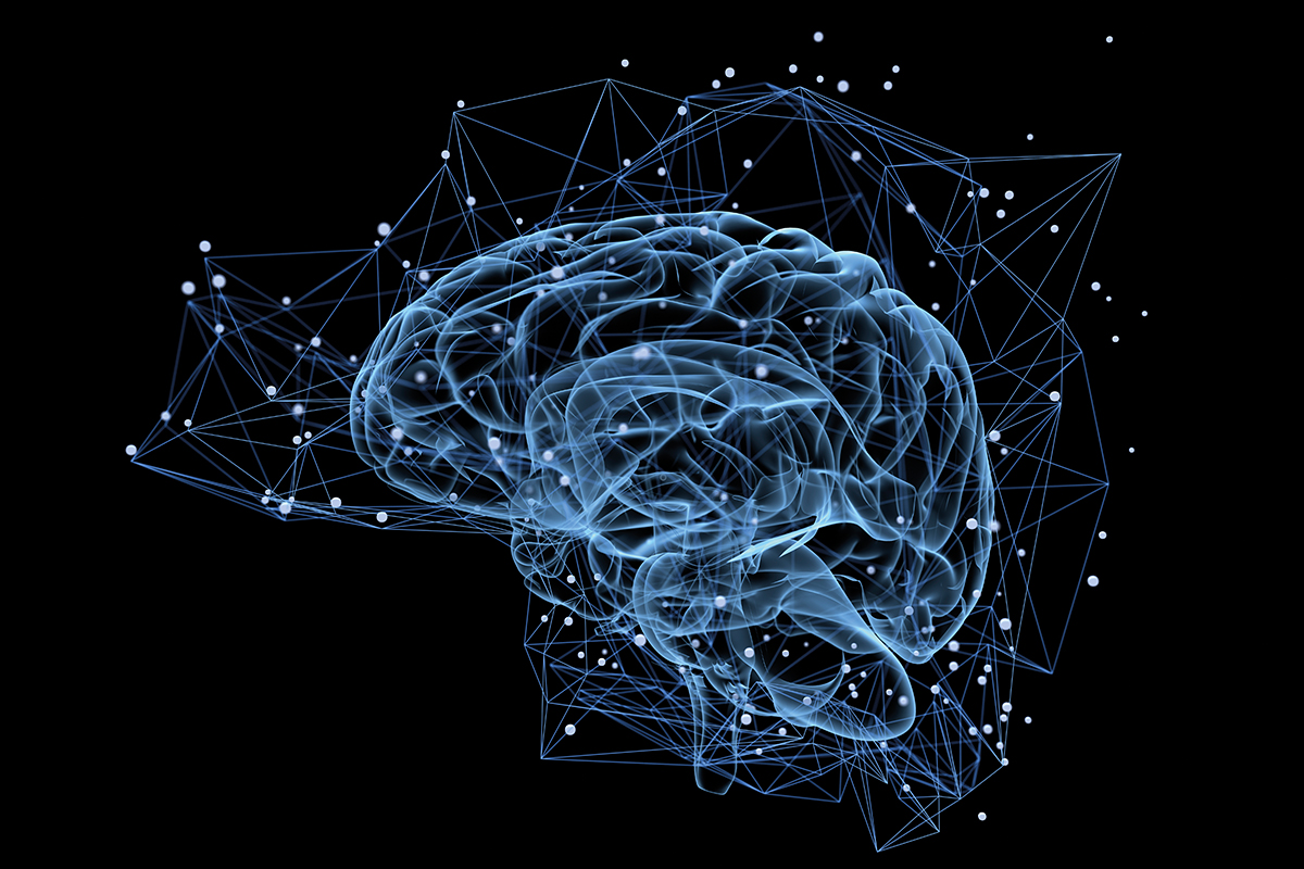 Photo: Epilepsy Action Illustration of a brain. Link between epilepsy and increased risk of young-onset dementia